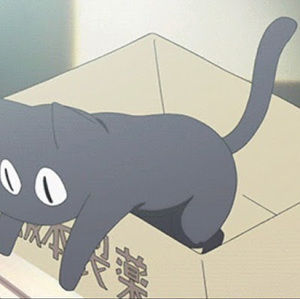 Meet your Posher, Sushi